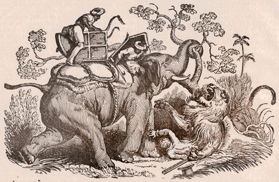 Löwenjagd-Szene: Der Jäger, Grab des Elefanten, ist jetzt in den Klauen des Löwen (Gravur) von Unknown artist
