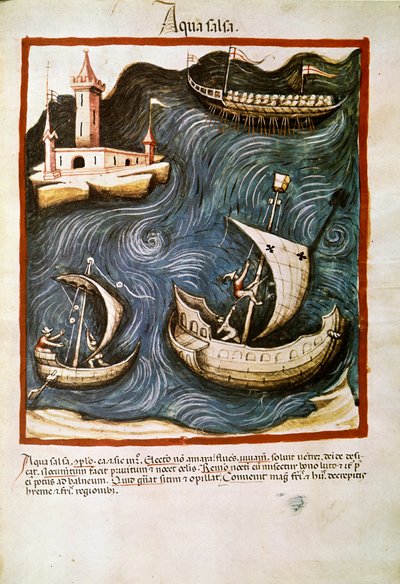 Medizinischer Handel: „Salzwasser“. Seite aus „Tacuinum sanitatis“ (Cod. ser. nov. 2644) um 1400. Wien, Österreichische Nationalbibliothek von Unknown artist