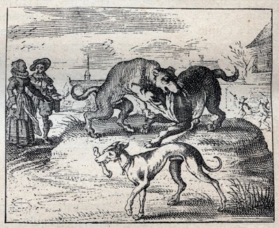 Altes englisches Sprichwort: Zwei Hunde streiten um einen Knochen und der dritte nimmt ihn weg von Unknown artist