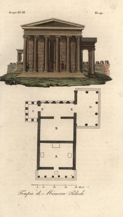 Plan und Aufriss des Erechtheion oder Erechtheum A, Tempel des Neptun B, Tempel der Minerva Polias mit Karyatidenvorhalle C, und Tempel des Pandrosus oder Pandrosion D von Unknown artist