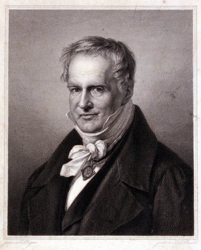 Porträt von Alexander von Humboldt von Unknown artist