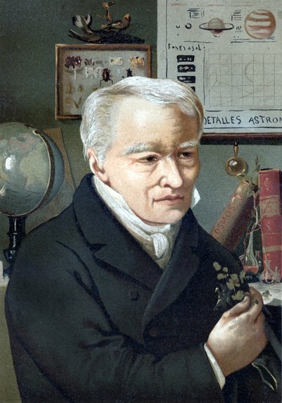 Porträt von Alexander von Humboldt (Alexander von Humboldt von Unknown artist