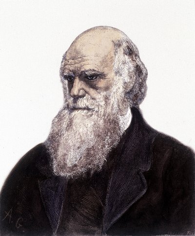 Porträt von Charles Robert Darwin, britischer Naturforscher (1809-1882) von Unknown artist