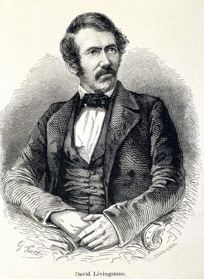 Porträt von David Livingstone, schottischer Missionar (1813-1873) von Unknown artist
