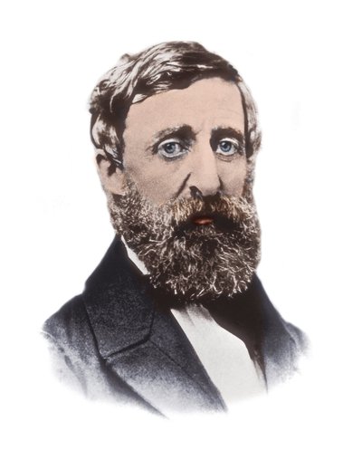 Porträt von Henry David Thoreau (1817-1862) - amerikanischer Essayist, Dichter, Philosoph, Abolitionist, Naturforscher, Steuerverweigerer, Entwicklungskritiker, Landvermesser und Historiker von Unknown artist