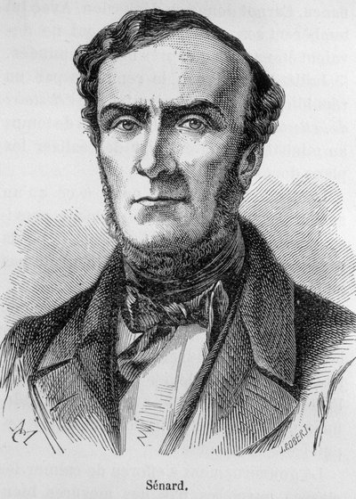 Porträt von Marie Antoine Jules Senard, Mitglied der Pariser Anwaltskammer, ehemaliger Präsident der Nationalversammlung und ehemaliger Innenminister. Er verteidigte Gustave Flaubert während des Prozesses nach der Veröffentlichung von Madame Bovary. Gravur von Unknown artist