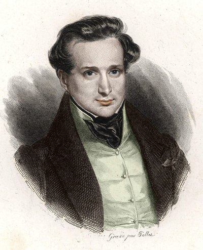 Porträt von Victor Hugo, junger Mann von Unknown artist
