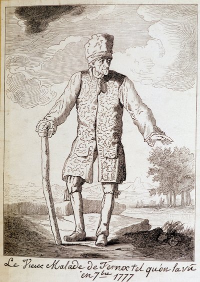 Porträt von Voltaire, französischer Schriftsteller und Philosoph, im Alter von Unknown artist