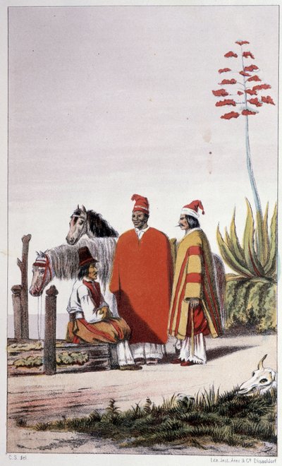 Private und Landvolk, Buenos Aires - in "Erste schwedische Weltumsegelung" von Skogman Carl Johan Alfred, ed. Stockholm, Adolf Bonnier von Unknown artist