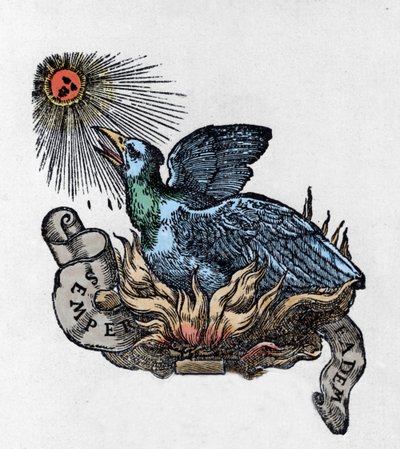Darstellung eines Phönix, legendärer Vogel, der aus seiner Asche wiedergeboren wird. Gravur des 19. Jahrhunderts von Unknown artist