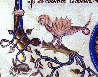 Darstellung eines fantastischen Tieres halb Mensch halb Drache. Miniatur aus einem Manuskript des 14. Jahrhunderts von Unknown artist