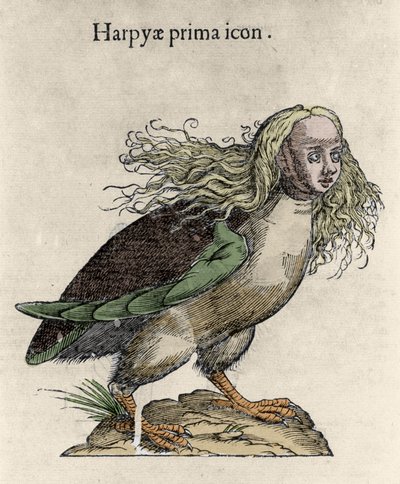 Darstellung einer Harpyie. Gravur von Ulisse Aldrovandi (1522-1605), „Monstrorum Historiae“, Bologna 1642 von Unknown artist