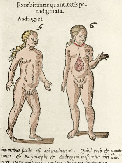 Darstellung eines Androgynen und eines Hermaphroditen. Platte aus „De natura Divinis caracteris“ von Cornelio Gemma 1575 von Unknown artist