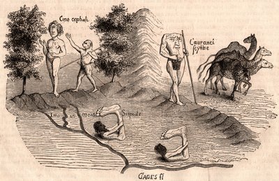 Darstellung mittelalterlicher Stämme und Tierarten: Monokel, Blemmys, Sciopoden und Kamele von Unknown artist