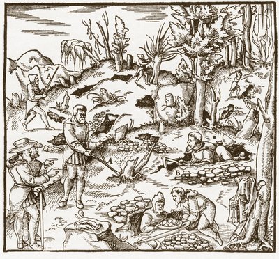 Rhabdomantie - Erkundung eines Bergbaugebiets mit der Wünschelrute - Männer schneiden und verwenden Wünschelruten, um Mineralien zu lokalisieren - Aus „De re metallica“ von Georgius Agricola (Georg Bauer), Basel von Unknown artist