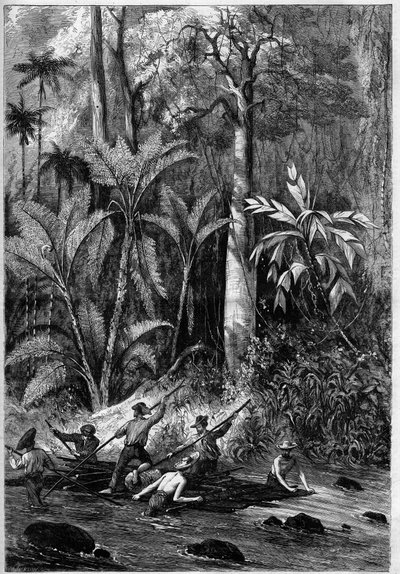 Straßenbau in Mittelamerika: Durchbruch durch den Isthmus von Panama. Floß, das den Lauf des Rama hinunterfährt. Nach einer Zeichnung eines Offiziers der Expedition von Captain Bedford Pim. Gravur in „Das illustrierte Universum“ von Unknown artist