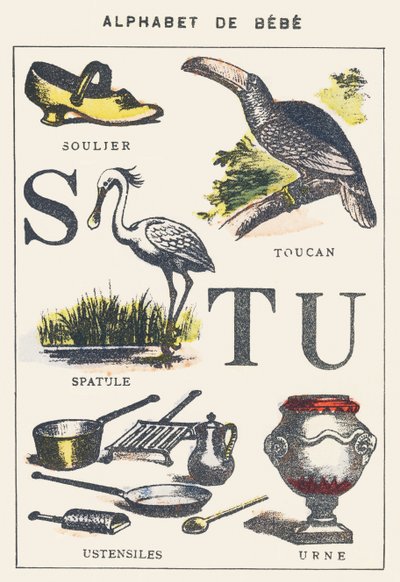 S T U: Schuh, Spatel, Tukan, Utensilien, Urne von Unknown artist