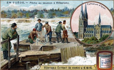 Lachsfang in Elfkarleby, Schweden. Chromolithographie, Liebig-Bild von Unknown artist