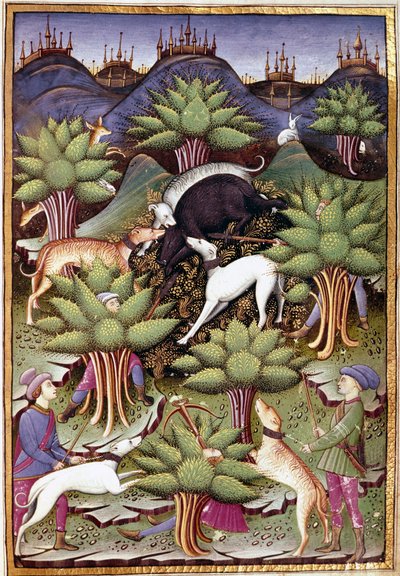 Szene der Wildschweinjagd Miniatur aus „Abhandlung über Falknerei und Jagd mit dem Motto und Emblem des Herzogs von Sforza“ von Unknown artist