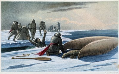 Robbenjagd: „Robbenjagd im Golf“ - in „Exploration of the Labrador Peninsula“ von Hind, London von Unknown artist