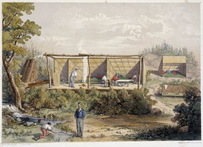 Siedlerlager in Kanada - in „Sketches on the Nipisaguit, a River of New Brunswick in America“ von William Hickman, ed. Halifax von Unknown artist