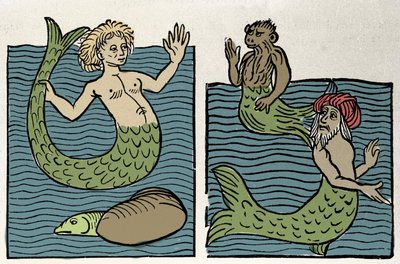 Sirene oder Jungfrau des Meeres, Affe und Seetürke. Gravur aus „Hortus sanitatis“ von Unknown artist
