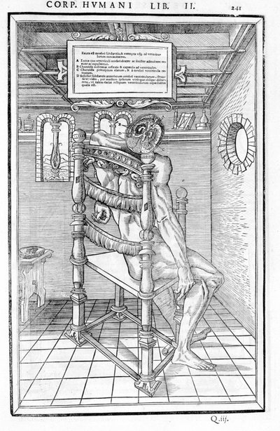 Schädelanschnitt. Anatomische Tafel aus „De dissectione partium corporis humani libri tres...“ von Carlo Stefano Riverio, Paris 1545 von Unknown artist