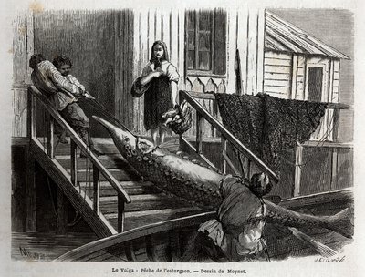 Störfischerei an der Mündung des Flusses Wolga. Gravur zur Illustration der Reise auf der Wolga von M. Moynet, im Jahr 1864, in „Le tour du monde, nouveau journal des voyages“, veröffentlicht unter der Leitung von Edouard Charton von Unknown artist