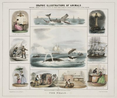 Der Wal, um 1845 von Unknown artist