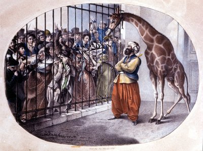 Die neugierige Menge drängte sich, um eine Giraffe hinter einem Tor zu sehen. Lithographie von Danhaaren. 1829 von Unknown artist