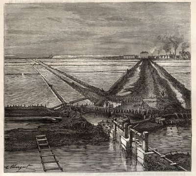 Die Salzwiese von Giraud in der Camargue (Bouches-du-Rhône), Ansicht vom Dienstkanal - Gravur in 