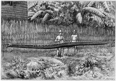 Die Haut einer Python-Schlange, 6,60 m lang, gefangen auf den Philippinen. (Nach einem Foto). Gravur in „La Nature: revue des sciences et de leurs applications aux arts et a l