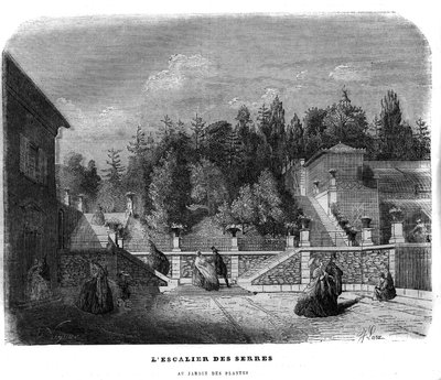 Die Treppe der Gewächshäuser im Jardin des Plantes in Paris im Jahr 1858 von Unknown artist