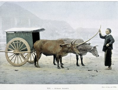 Vietnamesische Kutsche, „Rund um die Welt“, Ende 19. Jahrhundert von Unknown artist