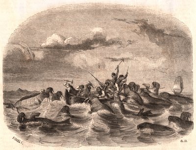 Ansicht einer Gruppe englischer Seeleute, die 1818 vor der Küste von Spitzbergen eine Herde Walrosse jagen von Unknown