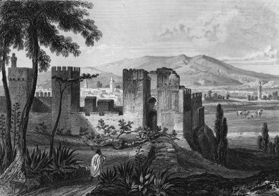 Ansicht der Umfriedung von Tlemsen (oder Tilimsen) in Algerien im 19. Jahrhundert. In „Algerie ancienne et moderne“ von Leon Galibert von Unknown artist