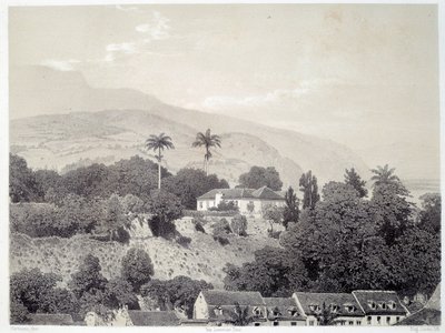 Ansicht der Häuser vom Boulevard de la Comédie in Saint Pierre auf Martinique in den Antillen. Druck nach Fotografie aus dem späten 19. Jahrhundert von Unknown artist