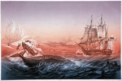 Walfangschiff konnte seine gekenterten Boote nicht retten von Unknown artist
