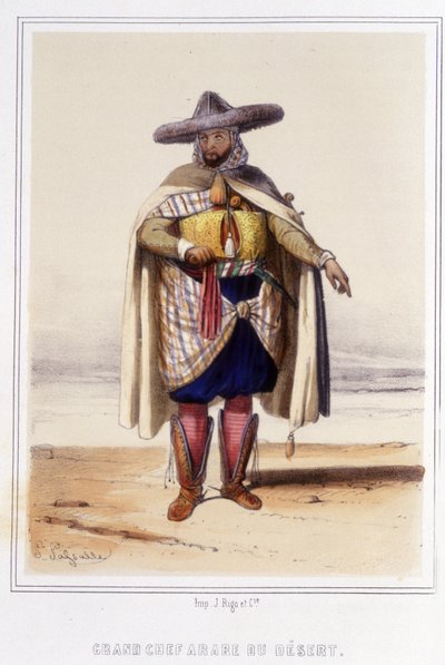 Großer arabischer Chef der Wüste in der zweiten Hälfte des 19. Jahrhunderts von Unknown artist