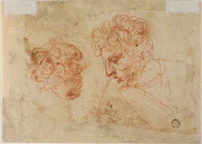 Zwei Skizzen von Köpfen (recto); Zwei Skizzen einer drapierten Frau (verso) von Unknown Florentine