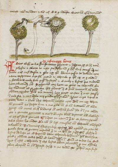Ein Habicht auf einem Baum und eine Nachtigall, die von ihrem Nest wegfliegt von Unknown artist
