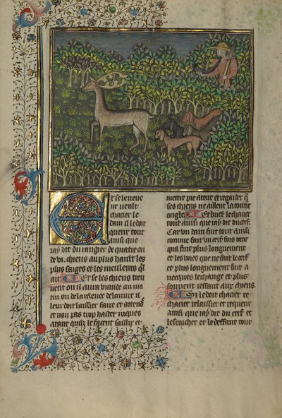 Ein Jäger und Hunde verfolgen ein Damwild von Unknown artist