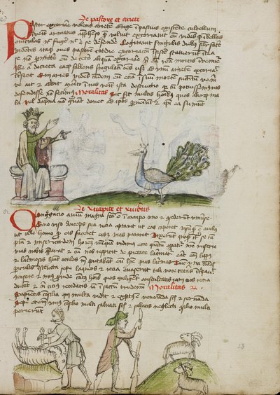 Ein König auf dem Thron spricht zu einem Pfau; Ein Hirte tötet einen Widder; Ein Hirte mit einem Stab und einem Messer vor zwei Ziegen von Unknown artist