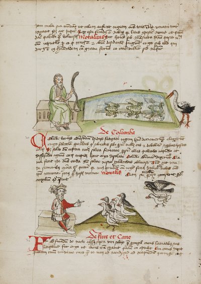 Ein Mann mit einer Schlange in der Hand; Ein König spricht zu einer Schar Tauben von Unknown artist