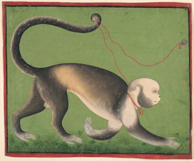 Ein monumentales Porträt eines Affen von Unknown artist