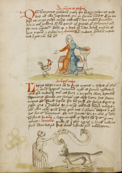 Eine Frau mit einem Gefäß und einer Henne; Ein Affe unterrichtet einen Fuchs und einen Wolf von Unknown artist