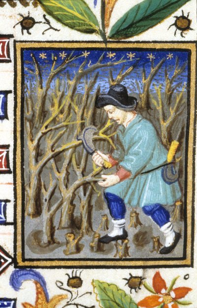 Allegorische Darstellung des März. Ein Mann schneidet Sträucher. Miniatur eines Manuskripts aus dem 14. Jahrhundert. von Unknown artist