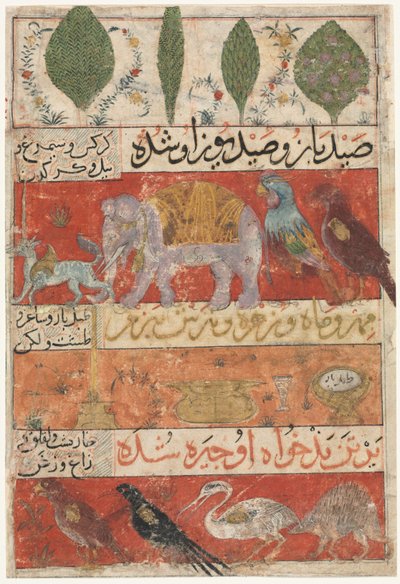 Tiere, Vögel und Pflanzen (verso) aus einem Mu