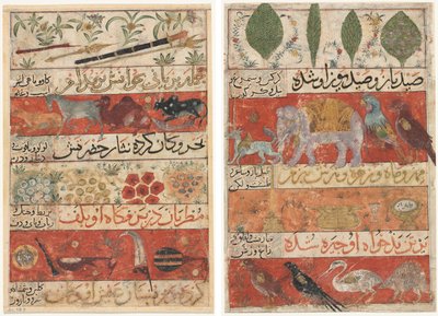 Tiere, Edelsteine, Münzen und Musikinstrumente (recto); Tiere, Vögel und Pflanzen (verso) aus einem Mu