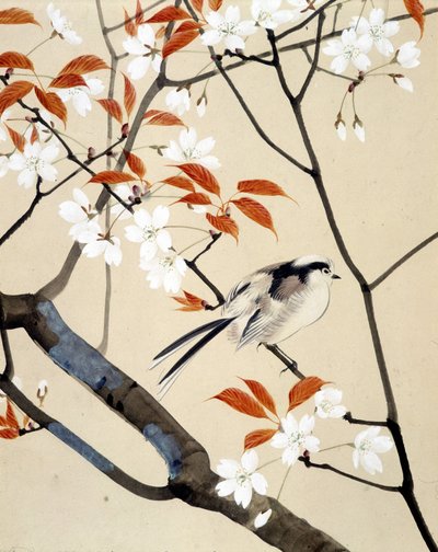 Vogel und blühender Kirschbaum - Japanische Zeichnung von Riou Chim, späte 19. Jahrhundert von Unknown artist